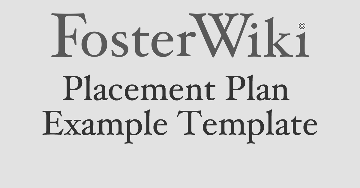 placement-plan-example-template-fosterwiki