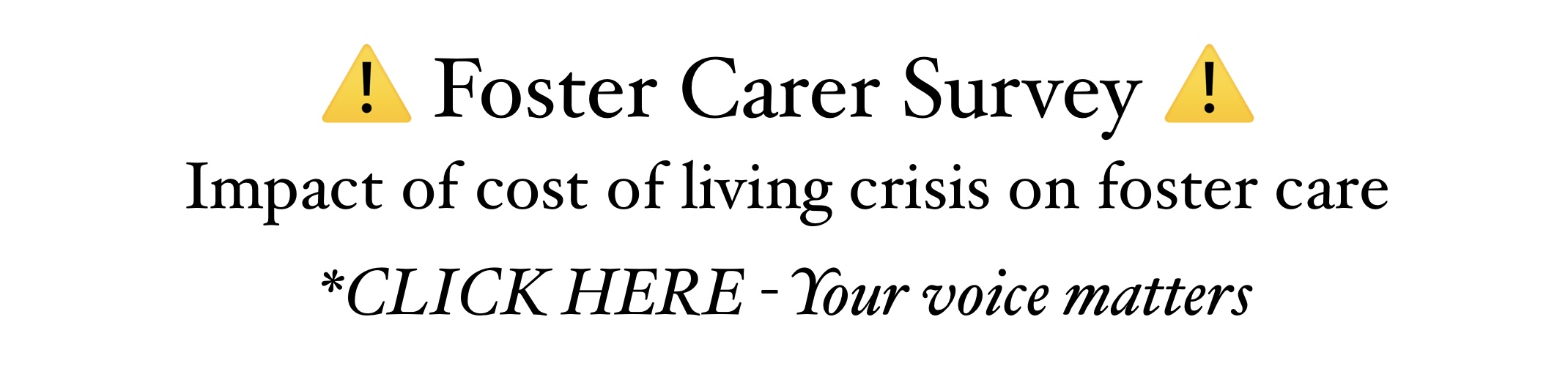 Foster Carer Survey your voice counts