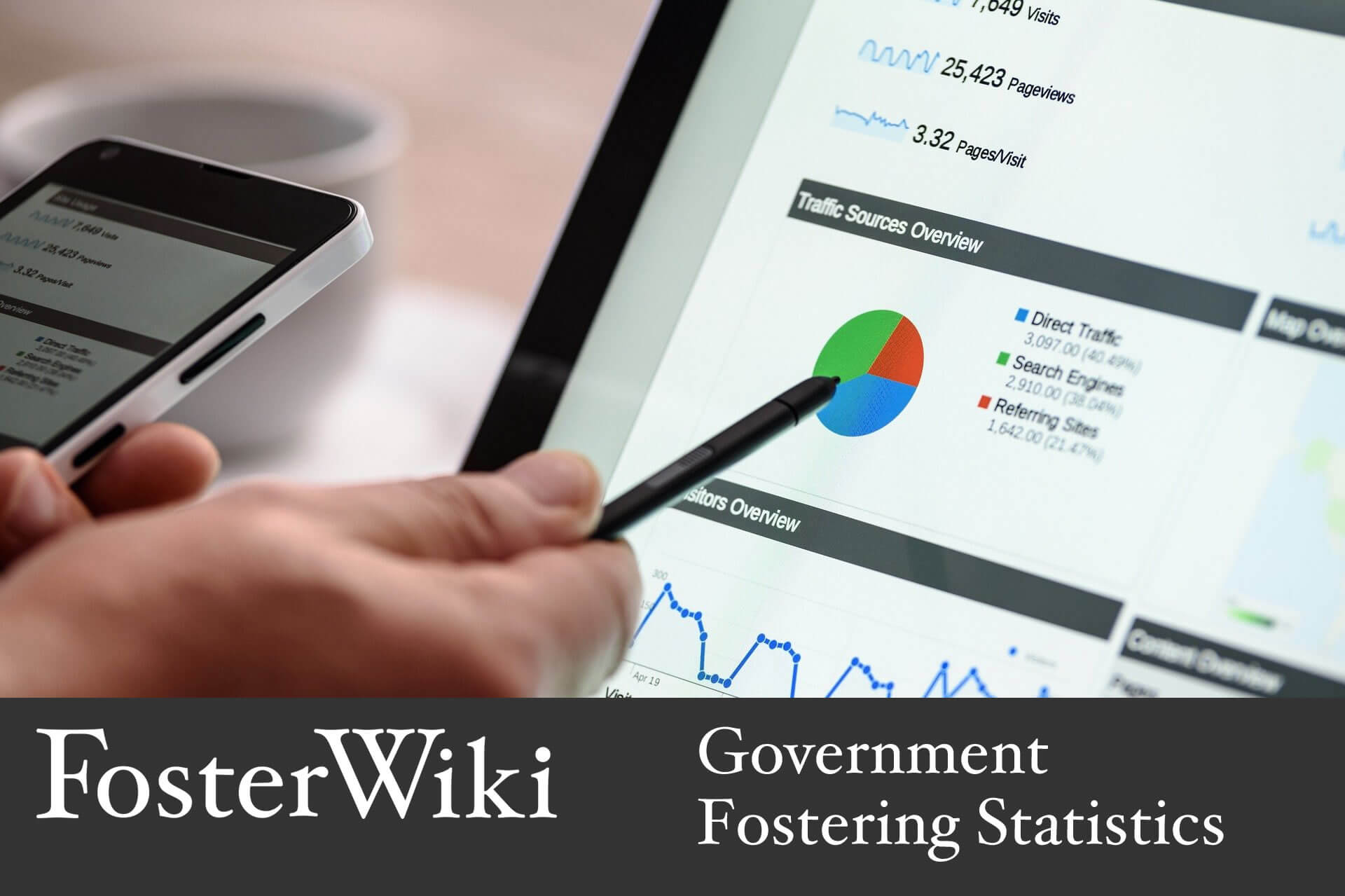 Government Fostering Statistics