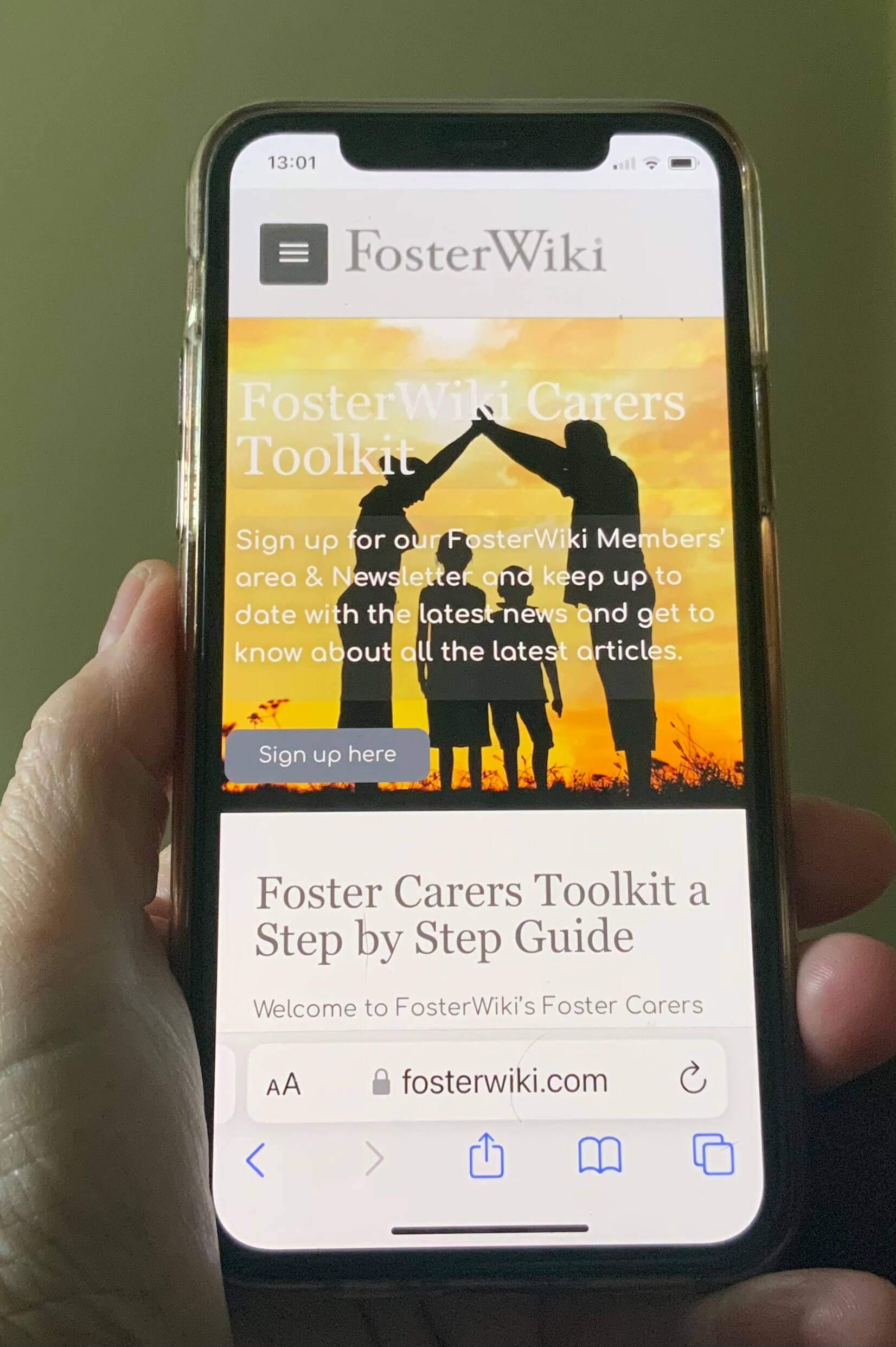 Foster Carers Toolkit