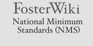 National Minimum Standards (NMS)